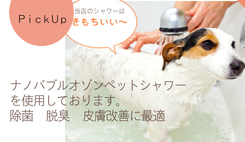 旭川市　トリミングサロン　シャンプー　ペットサロンふわり