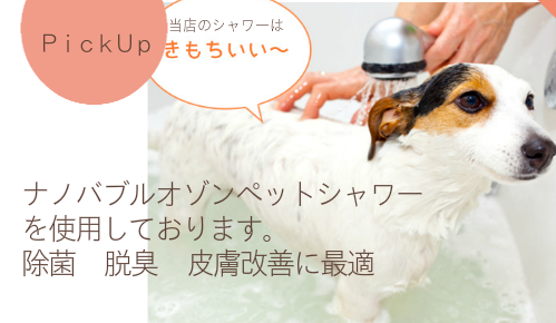 ペットサロンふわり　旭川市神居　こだわりシャンプー